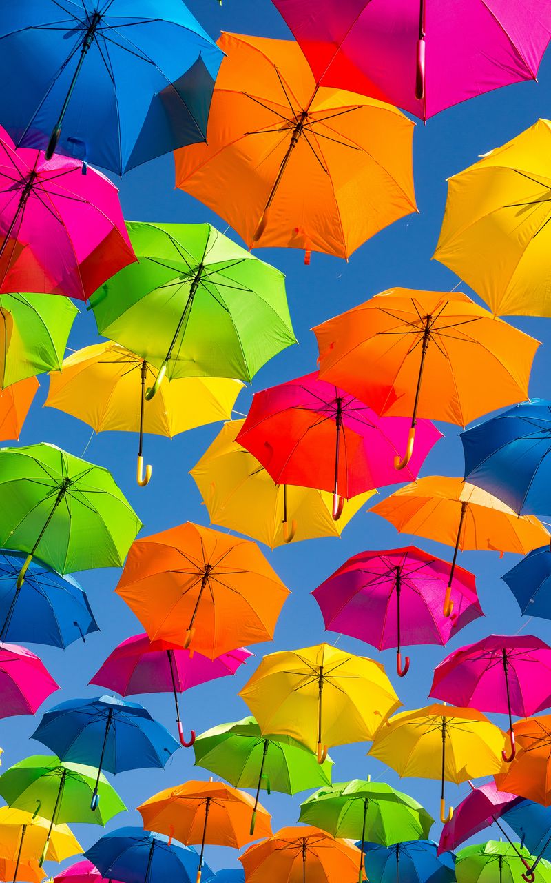 Зонты и дождевики